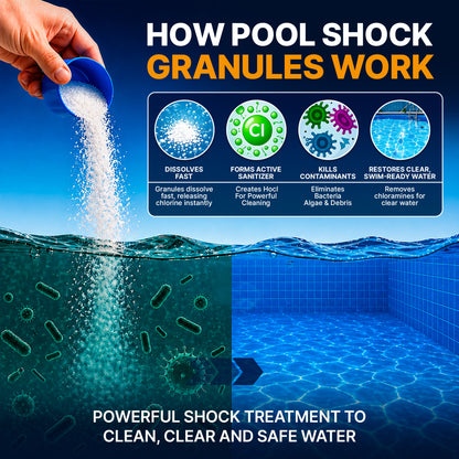 Calcium Hypochlorite Pool Shock – 12 × 1 lb Bags